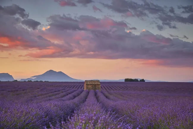 france countryside lavanda view